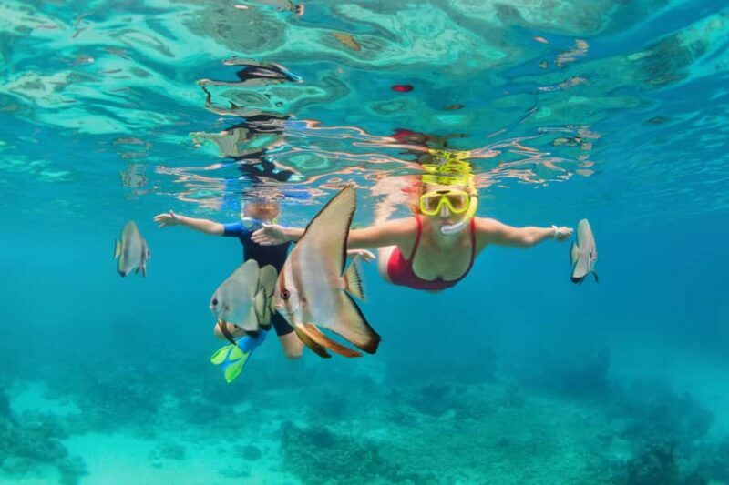 Khao Lak: Similan Islands Snorkeling Day Trip w/Meals - Key Points
