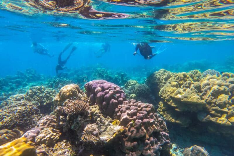 Khao Lak: Similan Islands Snorkeling Day Trip w/Meals - Overview of the Experience