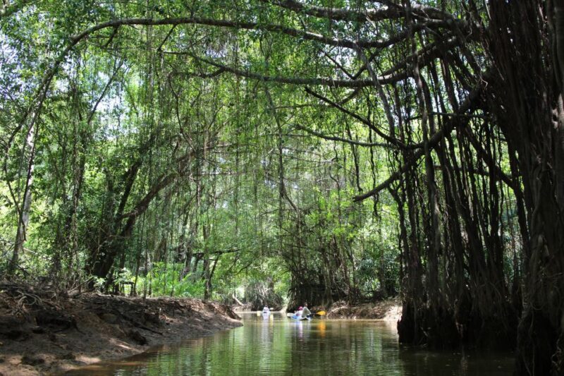 Khao Lak: Sri Phang Nga Canoe and Tam Nang Waterfall Tour - Experience Highlights