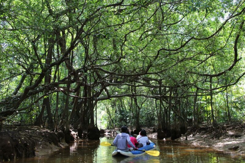 Khao Lak: Sri Phang Nga Canoe and Tam Nang Waterfall Tour - Inclusions