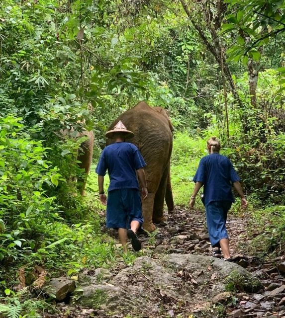 Khao Lak: Unique Dawn Ethical Elephant Sanctuary Experience - Sanctuary Background