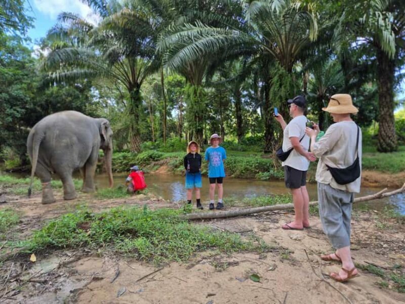 Khao Lak: Waterfall,Sea Turtle,Elephant Care,Meal & Transfer - A Detailed Look at the Tour Experience