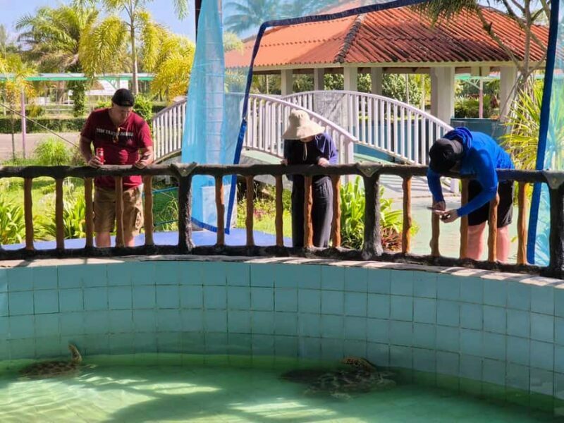 Khao Lak: Waterfall,Sea Turtle,Elephant Care,Meal & Transfer - Authenticity and Ethical Focus