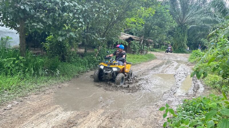 Khao Lak Wild ATV Quad Bike & Gentle Giants Experience - Highlights and Unique Features