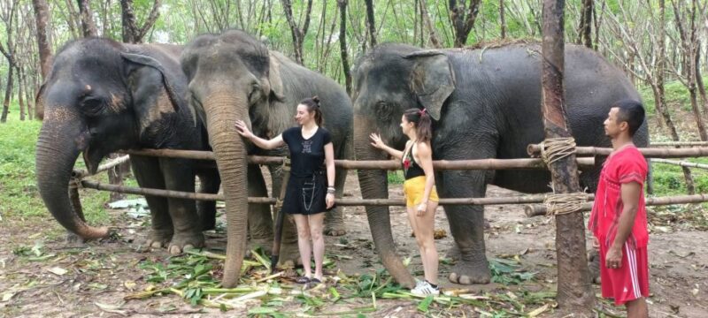 Khao Lak Wild ATV Quad Bike & Gentle Giants Experience - Inclusions and Important Information