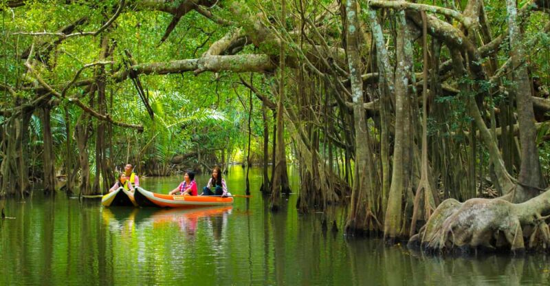 Khao Laks Little Amazon: Canoe, Trek & Waterfall Day Trip - Canoe Trip Through "Little Amazon"
