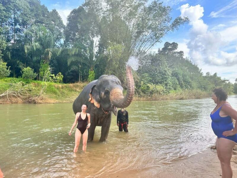 Khao Sok: Elephant Day Care, & Bamboo Rafting Day Tour - Key Points