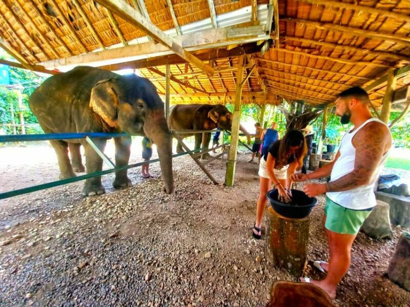 Khao Sok: Elephant Day Care, & Bamboo Rafting Day Tour - FAQ