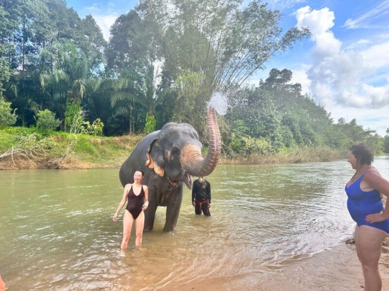 Khao Sok: Elephant Day Care, Cooking Class, & Bamboo Raft - Key Points