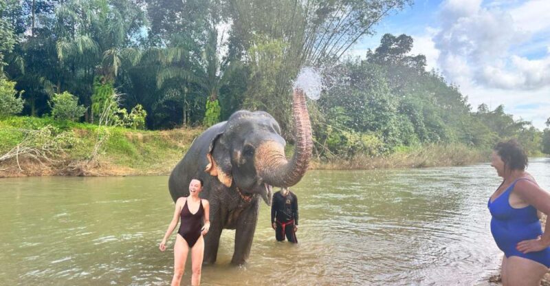Khao Sok: Elephant Day Care, Cooking Class, & Bamboo Raft - Wildlife and Nature Experiences