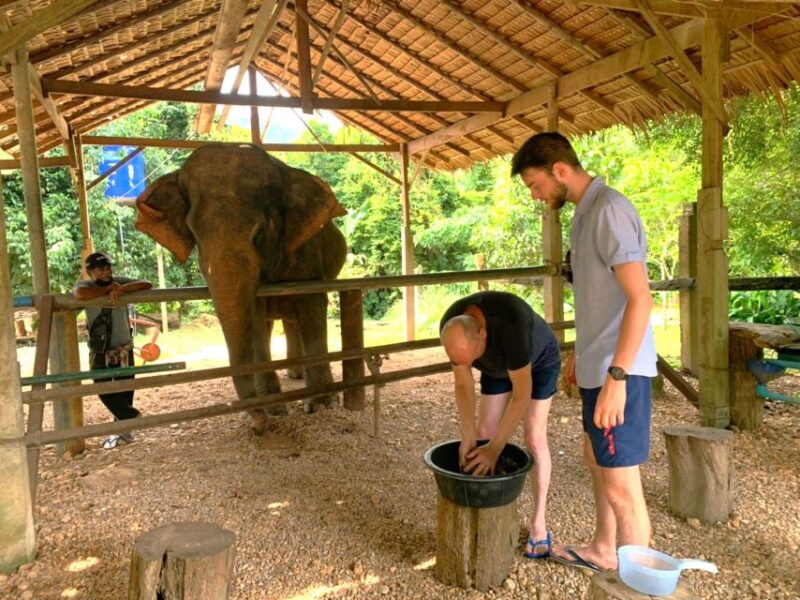 Khao Sok: Elephant Day Care, Cooking Class, & Bamboo Raft - Elephant Sanctuary Visit