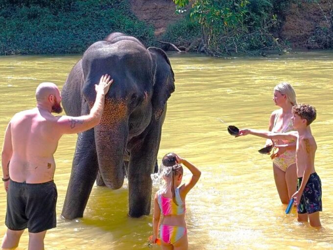 Khao Sok: Elephant Day Care, Cooking Class, & Bamboo Raft - Inclusions and Exclusions