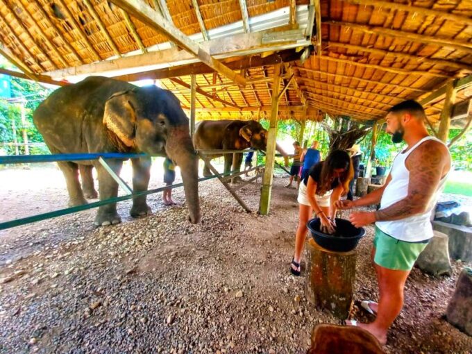 Khao Sok: Elephant Day Care, Cooking Class, & Bamboo Raft - Traveler Ratings and Feedback