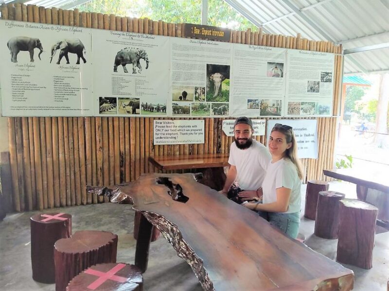 Khao Sok: Elephant Rescue Center With Lunch & Bamboo Rafting - Key Points