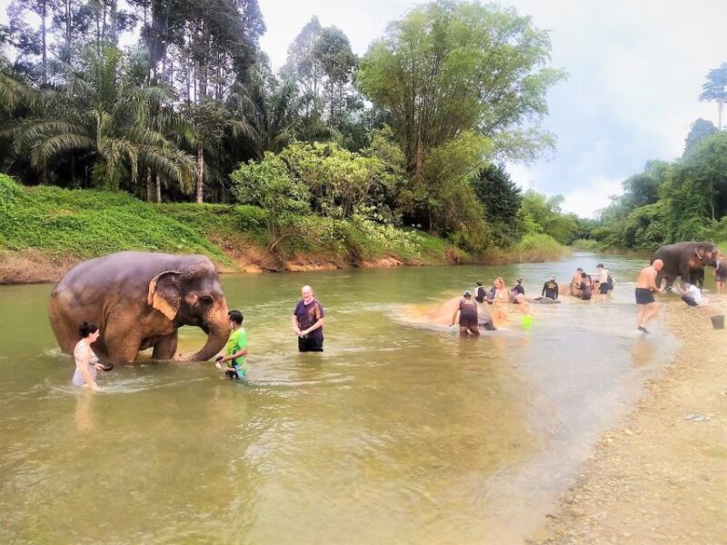 Khao Sok: Elephant Rescue Center With Lunch & Bamboo Rafting - Pricing and Availability
