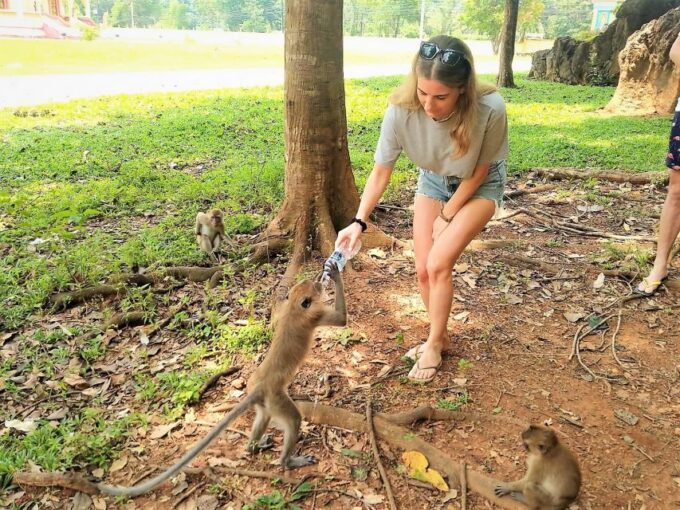 Khao Sok: Elephant Rescue Center With Lunch & Bamboo Rafting - Additional Experiences