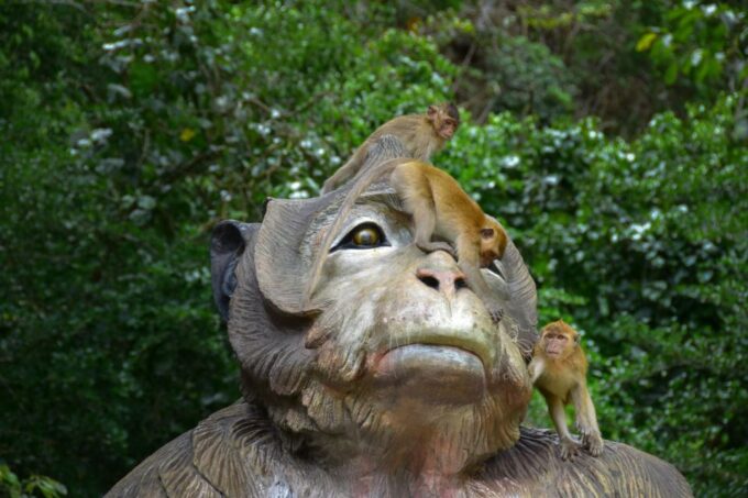 Khao Sok: Elephant Rescue Center With Lunch & Bamboo Rafting - Important Considerations