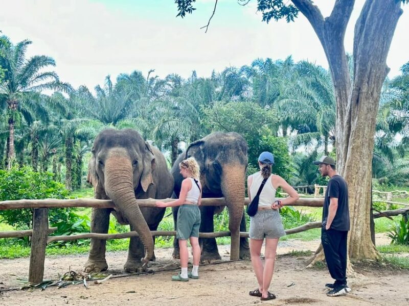 Khao Sok: Elephant Sanctuary With Eco Guided Tour - Frequently Asked Questions