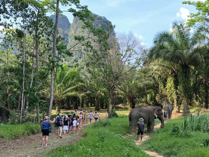Khao Sok: Ethical Elephant Experience & Nature Walk - Ethical Elephant Sanctuary Experience
