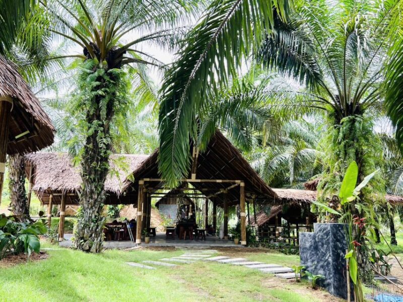 Khao Sok: Ethical Elephant Sanctuary Visit - Educational Components
