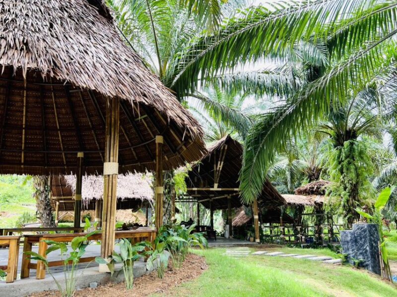 Khao Sok: Ethical Elephant Sanctuary Visit - Participant Information