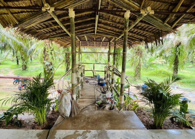 Khao Sok: Ethical Elephant Sanctuary Visit - Sustainability Practices