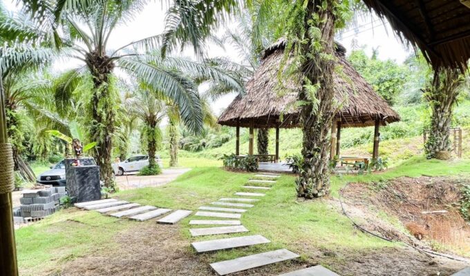 Khao Sok: Ethical Elephant Sanctuary Visit - Elephant Care and Conservation