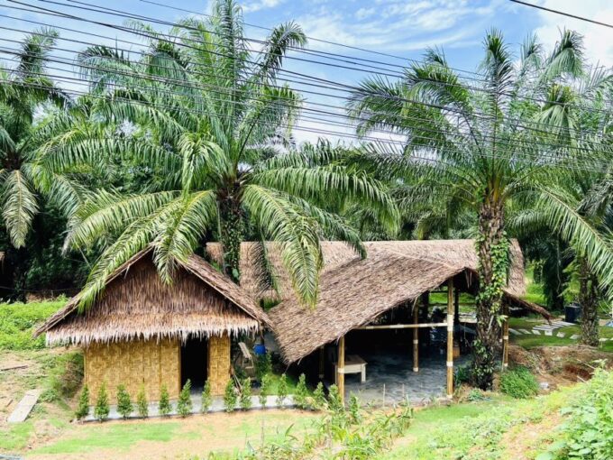 Khao Sok: Ethical Elephant Sanctuary Visit - Recap