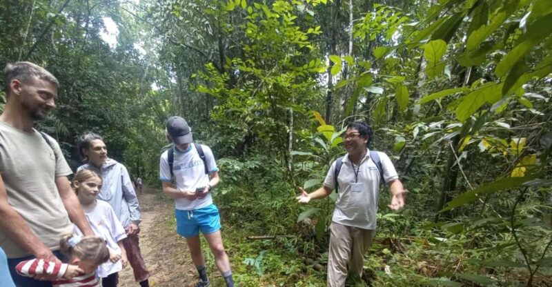 Khao Sok Jungle Sunset Wildlife Encounter & Bamboo Rafting - Key Points