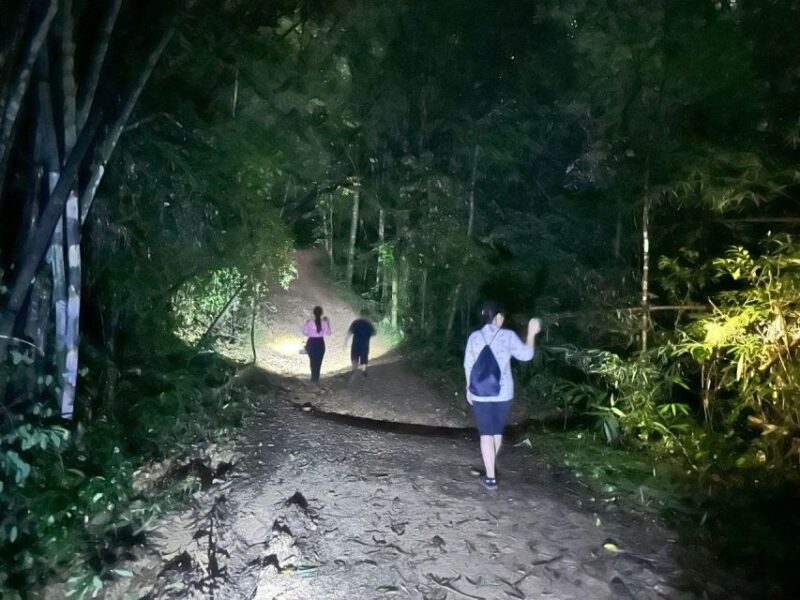 Khao Sok Jungle Sunset Wildlife Encounter & Bamboo Rafting - Itinerary Highlights