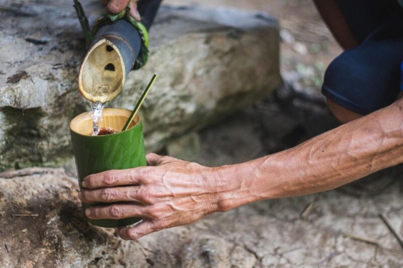 Khao Sok Jungle Sunset Wildlife Encounter & Bamboo Rafting - Inclusives and Important Information