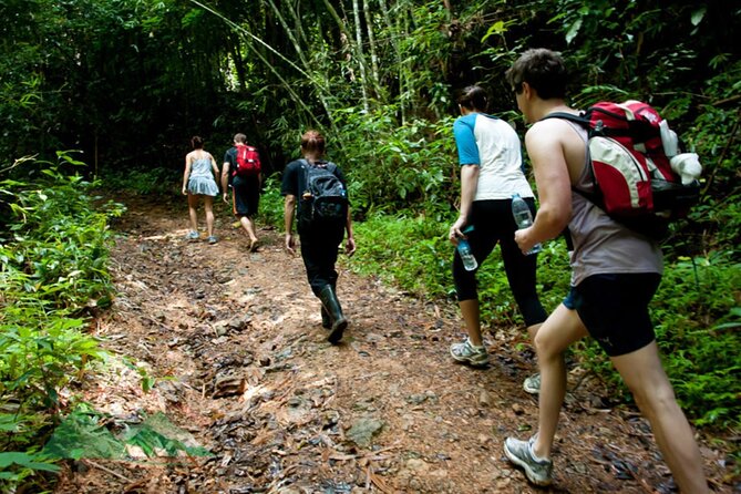 Khao Sok National Park Hiking and Bamboo Raft Tour From Khao Lak - Jungle Trek Adventure