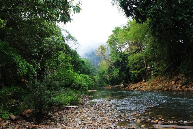 Khao Sok National Park Hiking and Bamboo Raft Tour From Khao Lak - Lunch and Refreshments