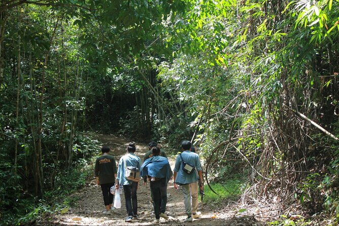 Khao Sok National Park Hiking and Bamboo Raft Tour From Khao Lak - Wildlife Sightings