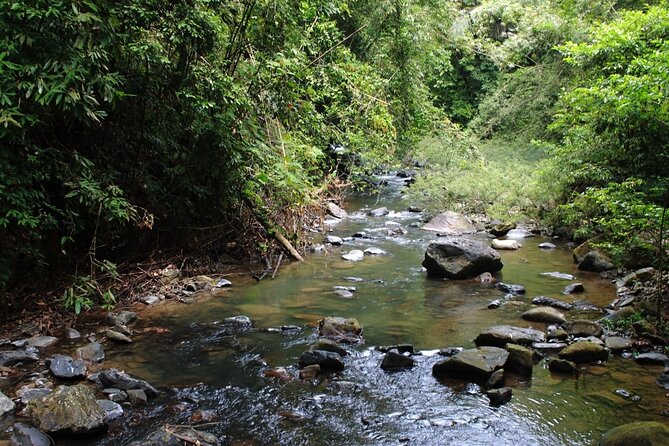 Khao Sok National Park Hiking and Bamboo Raft Tour From Khao Lak - Additional Attractions