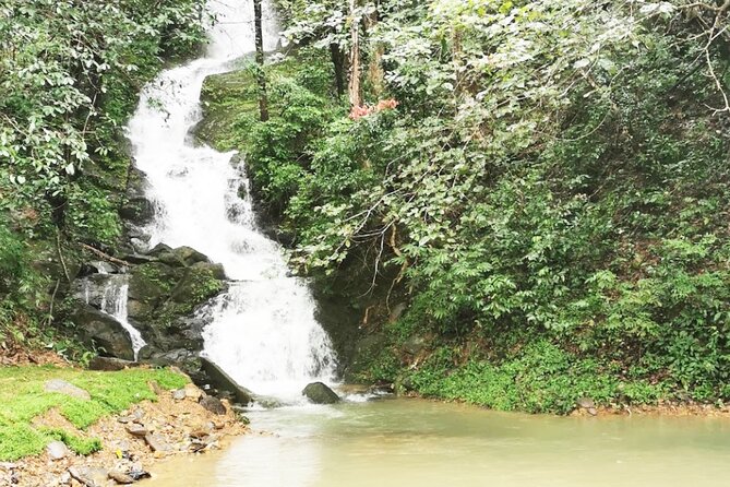 Khao Sok National Park Hiking and Bamboo Raft Tour From Khao Lak - Important Considerations