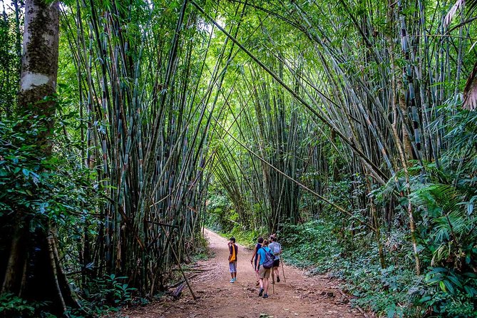 Khao Sok National Park Jungle Safari Full Day Tour From Phuket - Preparing for the Adventure