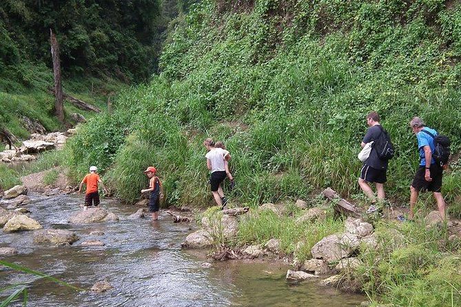 Khao Sok National Park Jungle Safari Full Day Tour From Phuket - Khao Sok National Park Activities