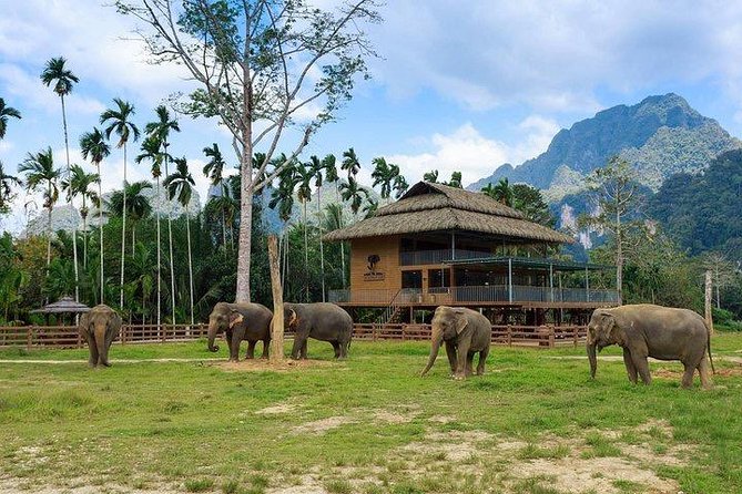 Khao Sok National Park Jungle Safari Full Day Tour From Phuket - Health and Safety Information