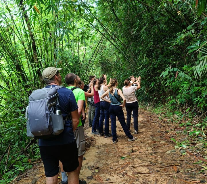 Khao Sok: Private Day Trekking, Jungle Dinner & Night Safari - Hidden Waterfall Exploration