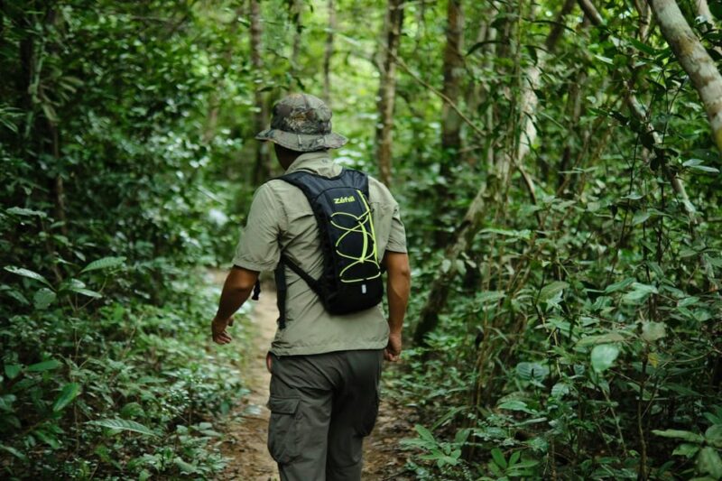 Khao Sok: Private Day Trekking, Jungle Dinner & Night Safari - Traditional Jungle Dinner