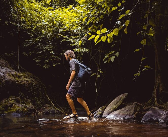 Khao Sok: Private Day Trekking, Jungle Dinner & Night Safari - Inclusions and Essentials