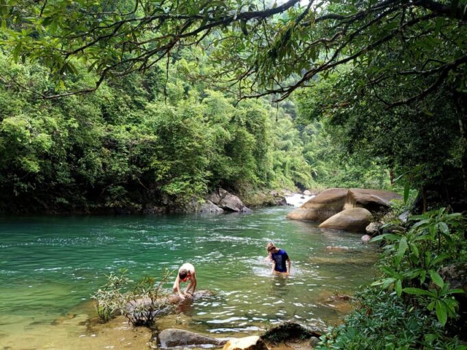 Khao Sok: Private Day Trekking, Jungle Dinner & Night Safari - Important Considerations