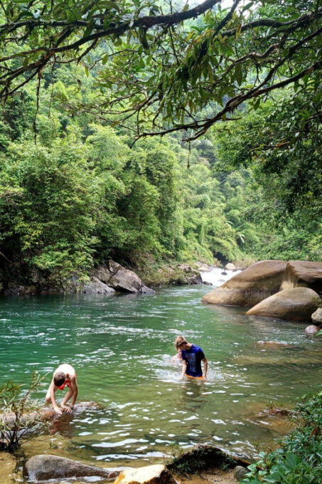 Khao Sok: Private Day Trekking, Jungle Dinner & Night Safari - Frequently Asked Questions