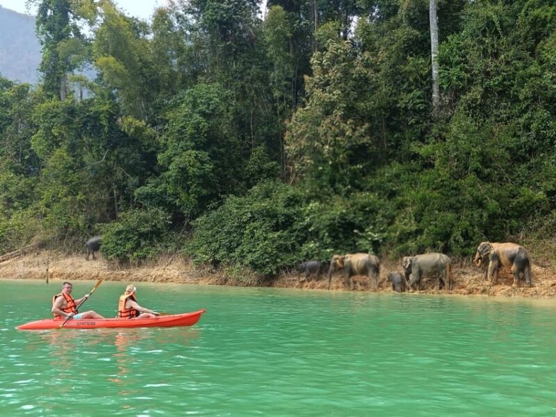 Khao Sok: Private Full-Day Lake Adventure by Long-Tail Boat - Itinerary Highlights