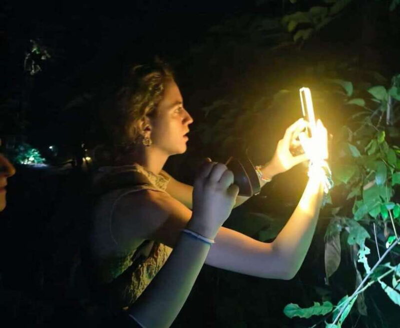 Khao Sok: Private Night Safari Adventure W/ Hotel Transfer - Key Highlights of the Experience