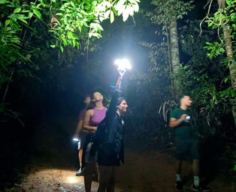 Khao Sok: Private Night Safari Adventure W/ Hotel Transfer - Learning About the Parks Ecosystem From the Guide