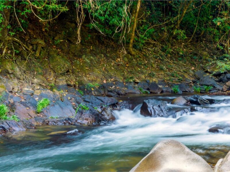 Khao Sok: Private Waterfalls and Wildlife Half-Day Trek - Wing Hin Waterfall: A Refreshing Escape