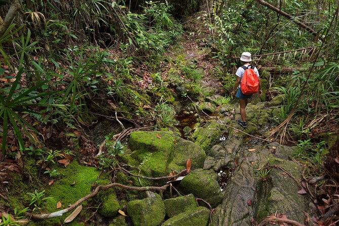 Khao Sok Rainforest | Hike + Canoe - Itinerary and Included Activities