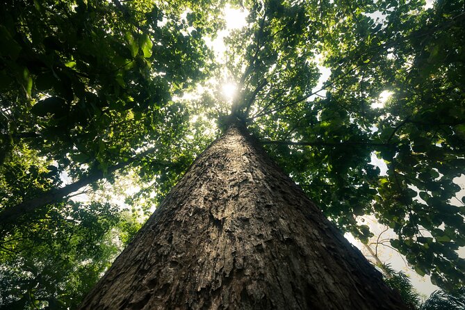 Khao Sok Rainforest | Hike + Canoe - Host Responses and Clarifications